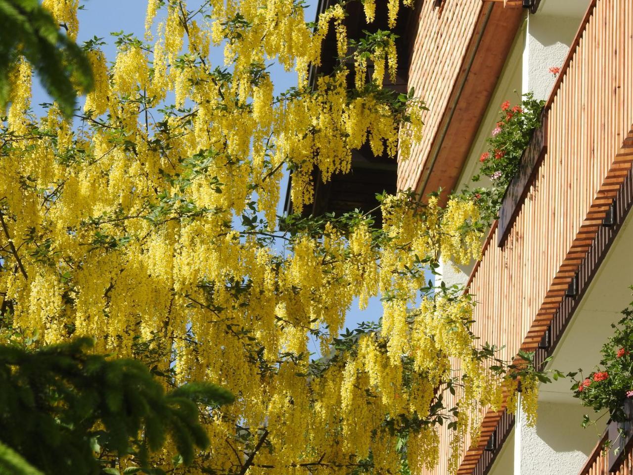 Hotel Garni Tannleger B&B Бранд Екстериор снимка